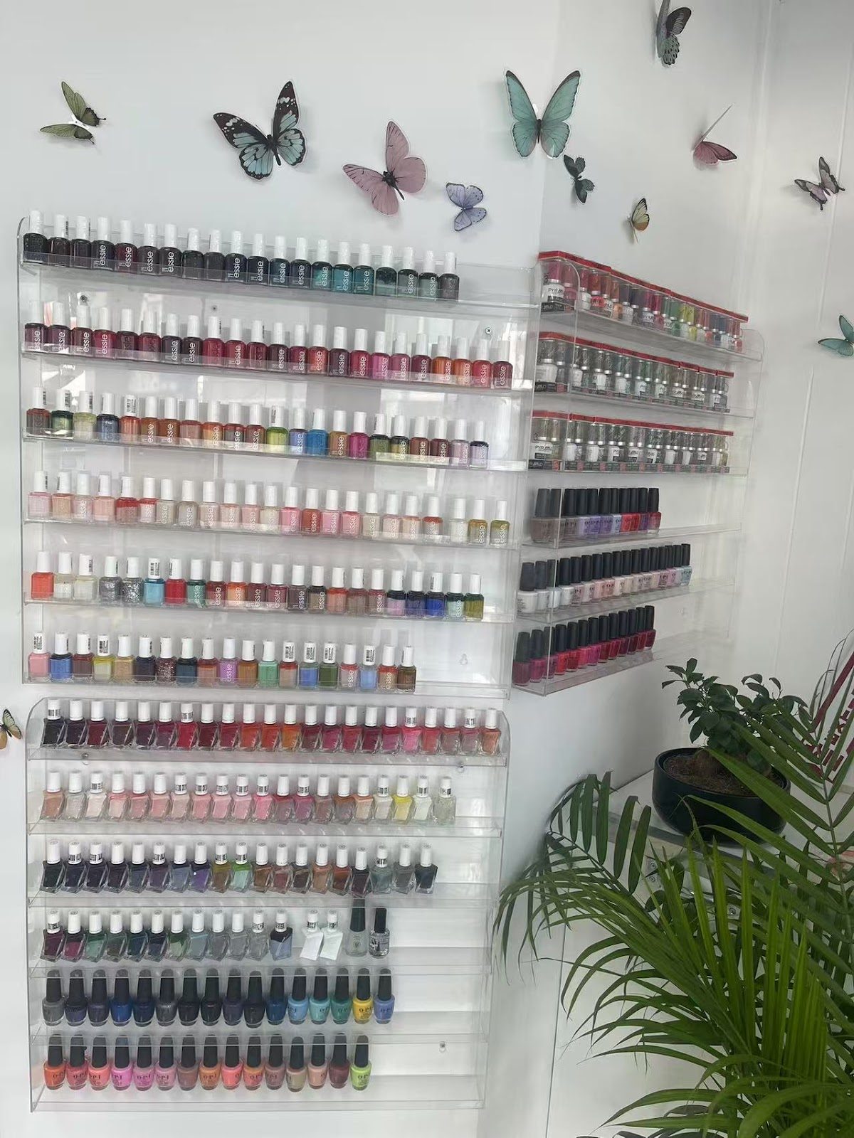 Shine Fine Nails & Spa environment